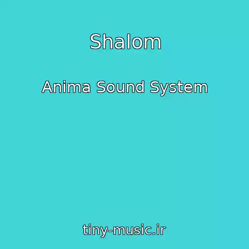 کاور آهنگ Shalom از Anima Sound System