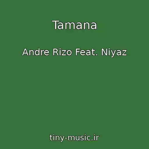 کاور آهنگ Tamana از Andre Rizo Feat. Niyaz