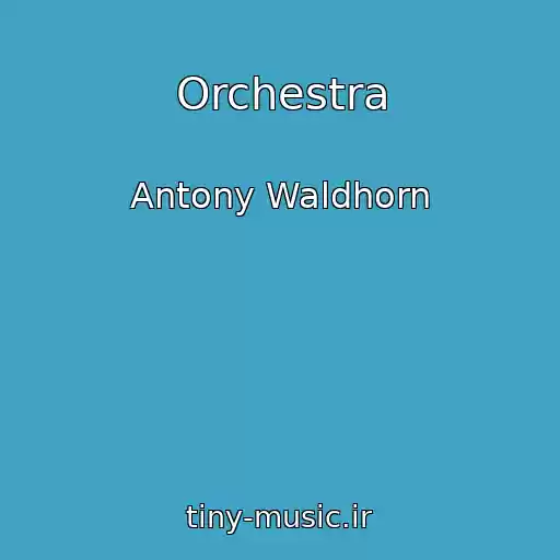 کاور آهنگ Orchestra از Antony Waldhorn
