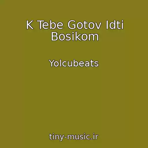 کاور آهنگ K Tebe Gotov Idti Bosikom از Yolcubeats