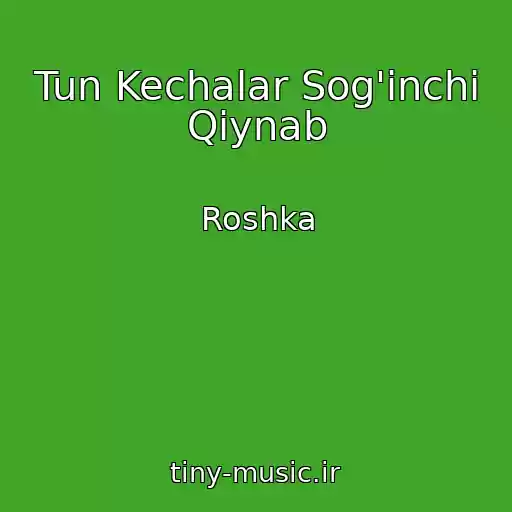 کاور آهنگ Tun Kechalar Sog'inchi Qiynab از Roshka