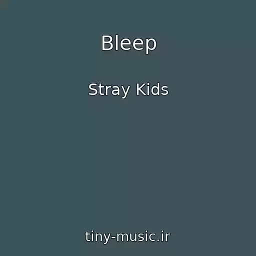 کاور آهنگ Bleep از Stray Kids