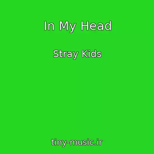 کاور آهنگ In My Head از Stray Kids
