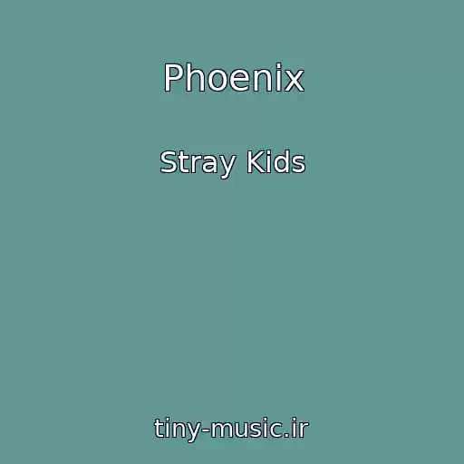 کاور آهنگ Phoenix از Stray Kids