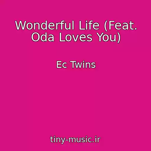 کاور آهنگ Wonderful Life (Feat. Oda Loves You) از Ec Twins