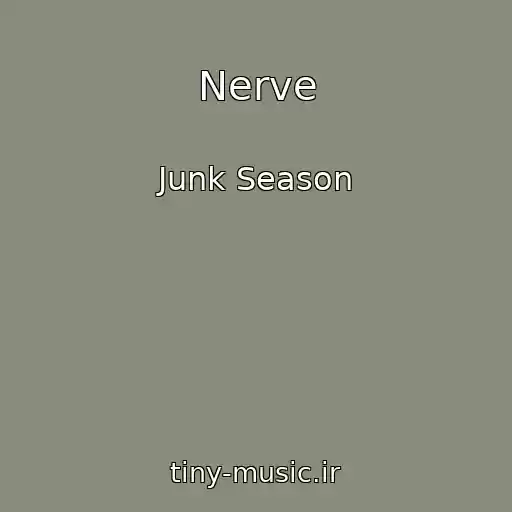 کاور آهنگ Nerve از Junk Season
