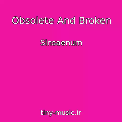کاور آهنگ Obsolete And Broken از Sinsaenum