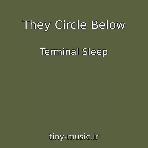 کاور آهنگ They Circle Below از Terminal Sleep