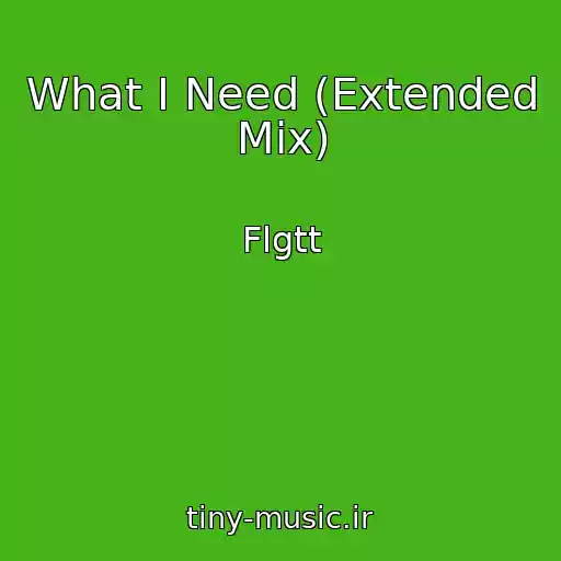 کاور آهنگ What I Need (Extended Mix) از Flgtt
