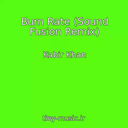 کاور آهنگ Burn Rate (Sound Fusion Remix) از Kabir Khan