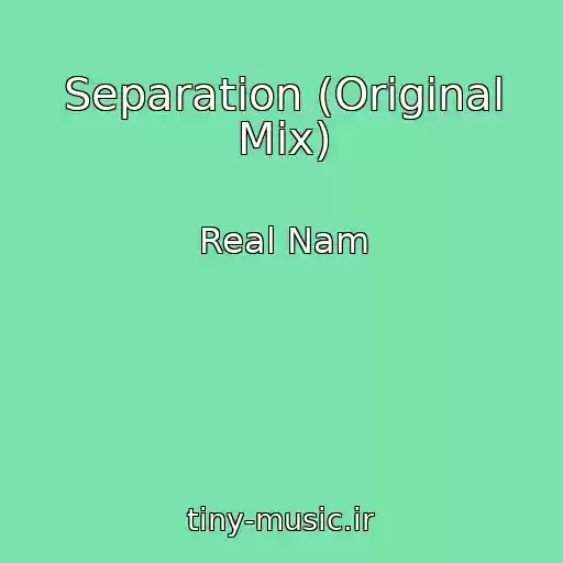 کاور آهنگ Separation (Original Mix) از Real Nam