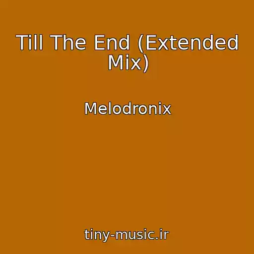 کاور آهنگ Till The End (Extended Mix) از Melodronix