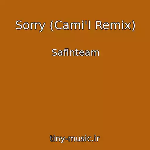 کاور آهنگ Sorry (Cami'l Remix) از Safinteam