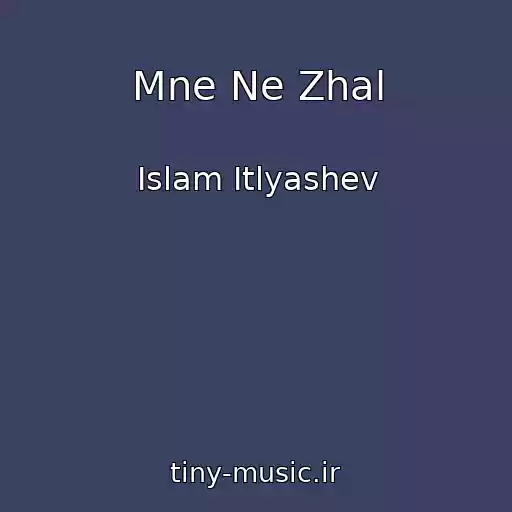 کاور آهنگ Mne Ne Zhal از Islam Itlyashev