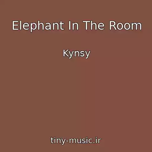 کاور آهنگ Elephant In The Room از Kynsy