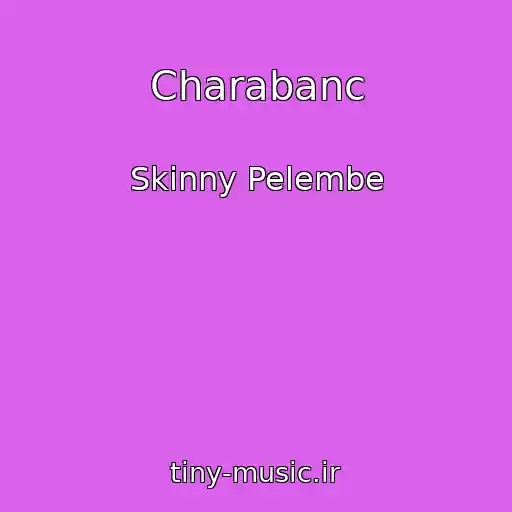 کاور آهنگ Charabanc از Skinny Pelembe