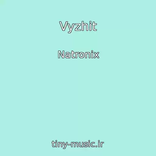 کاور آهنگ Vyzhit از Natronix