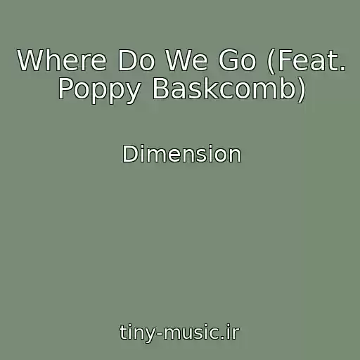 کاور آهنگ Where Do We Go (Feat. Poppy Baskcomb) از Dimension