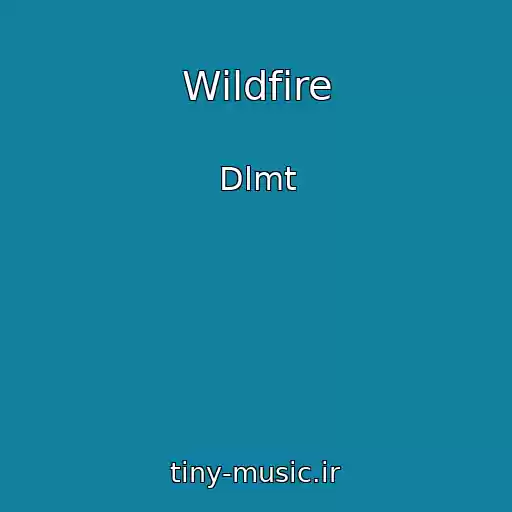 کاور آهنگ Wildfire از Dlmt