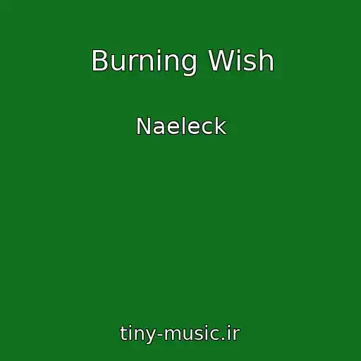 کاور آهنگ Burning Wish از Naeleck