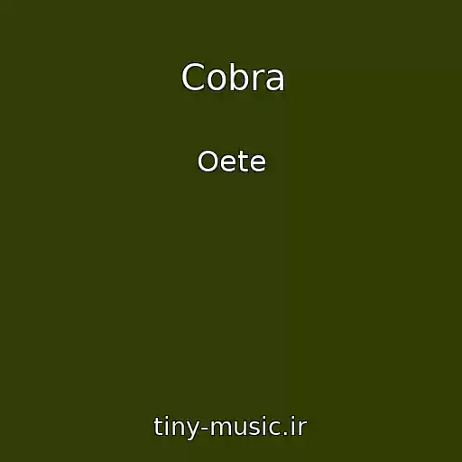 کاور آهنگ Cobra از Oete