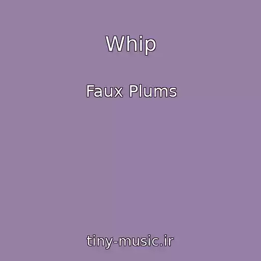 کاور آهنگ Whip از Faux Plums