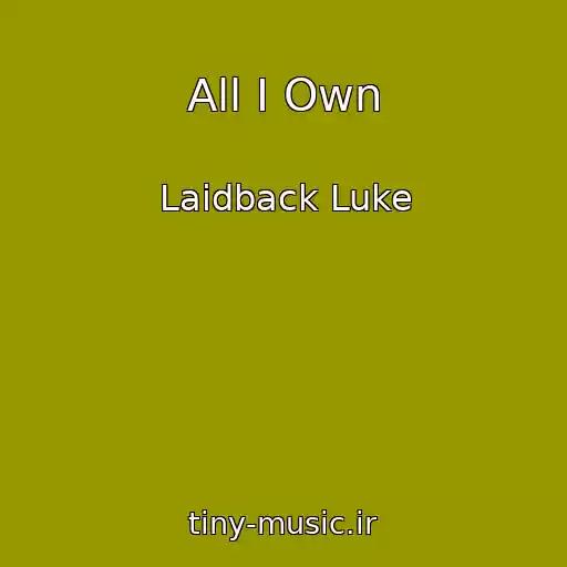 کاور آهنگ All I Own از Laidback Luke