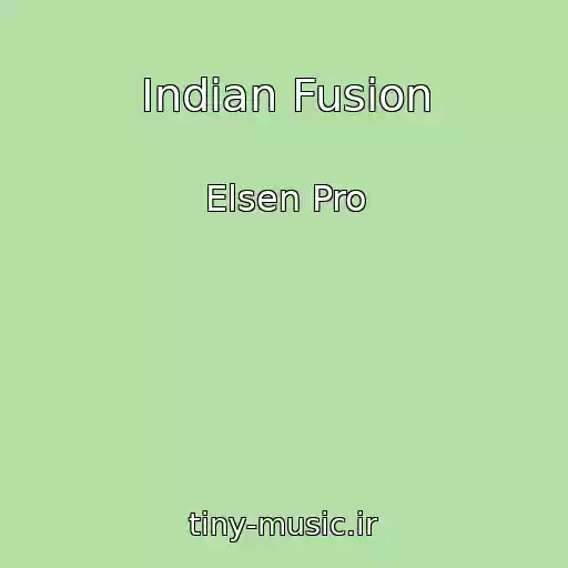 کاور آهنگ Indian Fusion از Elsen Pro