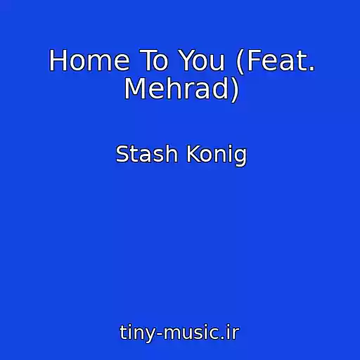کاور آهنگ Home To You (Feat. Mehrad) از Stash Konig