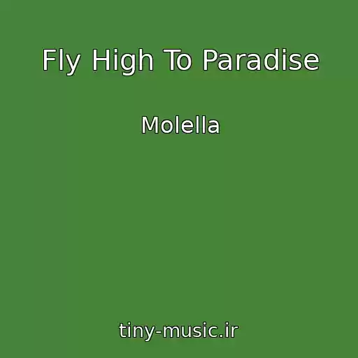 کاور آهنگ Fly High To Paradise از Molella