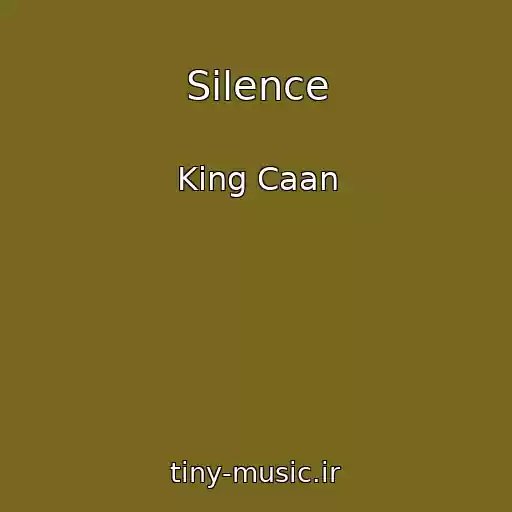 کاور آهنگ Silence از King Caan