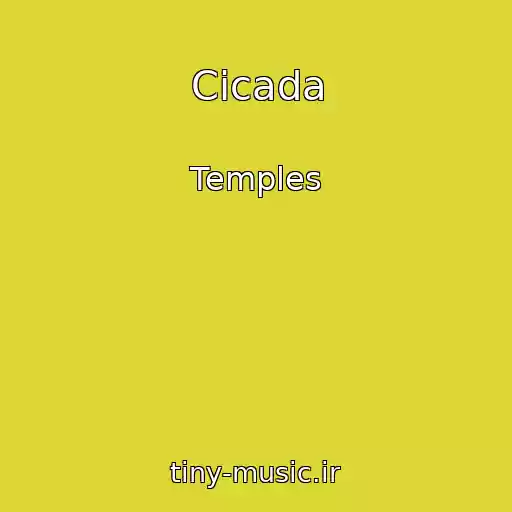 کاور آهنگ Cicada از Temples