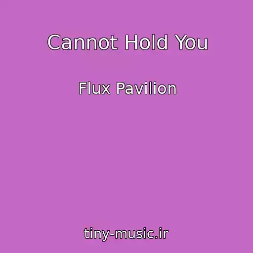 کاور آهنگ Cannot Hold You از Flux Pavilion