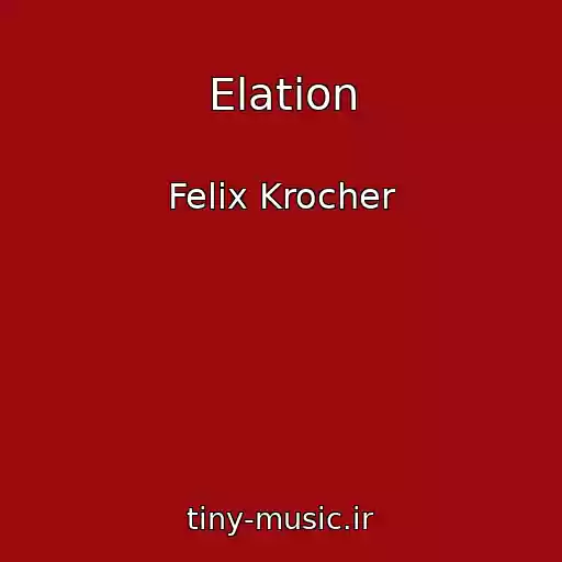 کاور آهنگ Elation از Felix Krocher