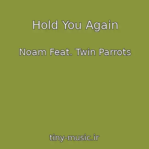 کاور آهنگ Hold You Again از Noam Feat. Twin Parrots