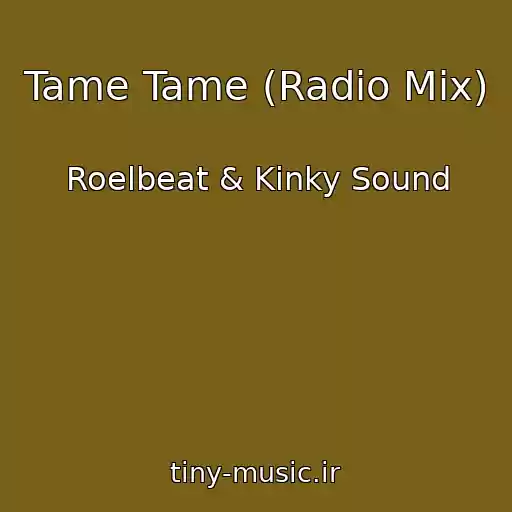 کاور آهنگ Tame Tame (Radio Mix) از Roelbeat & Kinky Sound