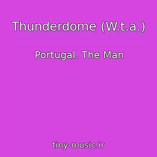 کاور آهنگ Thunderdome (W.t.a.) از Portugal. The Man