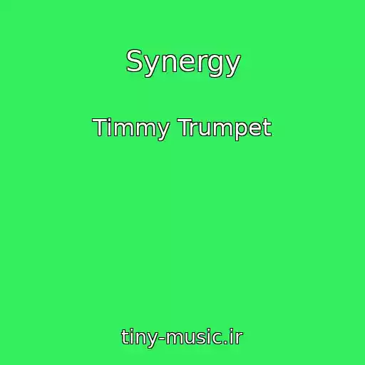 کاور آهنگ Synergy از Timmy Trumpet