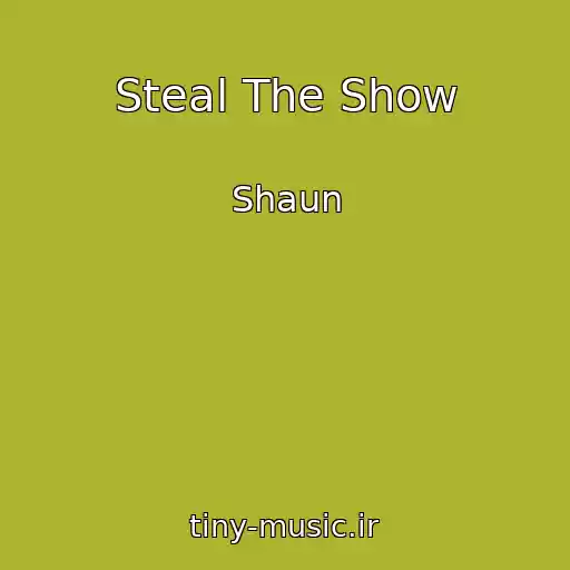 کاور آهنگ Steal The Show از Shaun