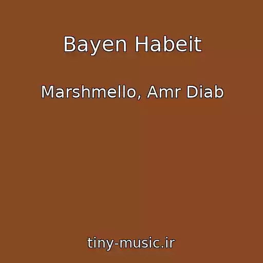 کاور آهنگ Bayen Habeit از Marshmello, Amr Diab