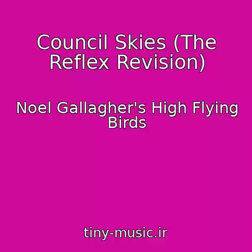 کاور آهنگ Council Skies (The Reflex Revision) از Noel Gallagher's High Flying Birds