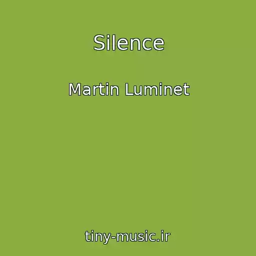 کاور آهنگ Silence از Martin Luminet