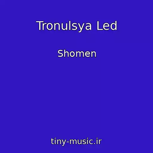 کاور آهنگ Tronulsya Led از Shomen