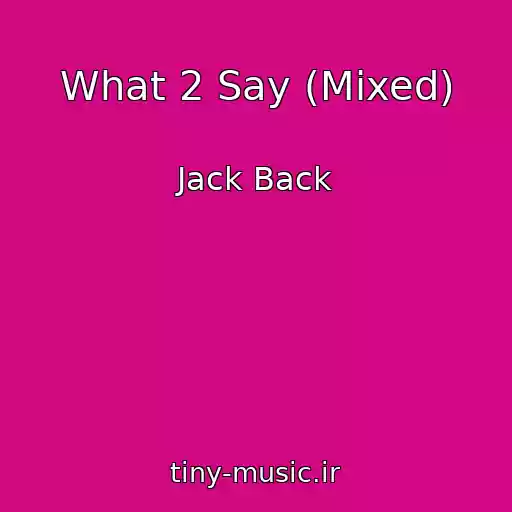 کاور آهنگ What 2 Say (Mixed) از Jack Back