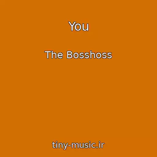 کاور آهنگ You از The Bosshoss
