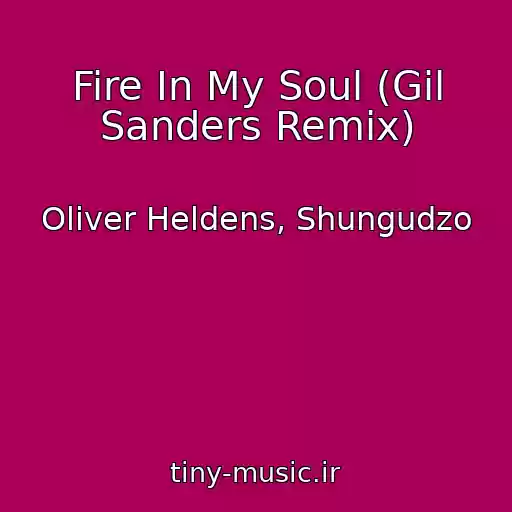 کاور آهنگ Fire In My Soul (Gil Sanders Remix) از Oliver Heldens, Shungudzo