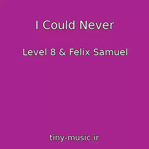 کاور آهنگ I Could Never از Level 8 & Felix Samuel