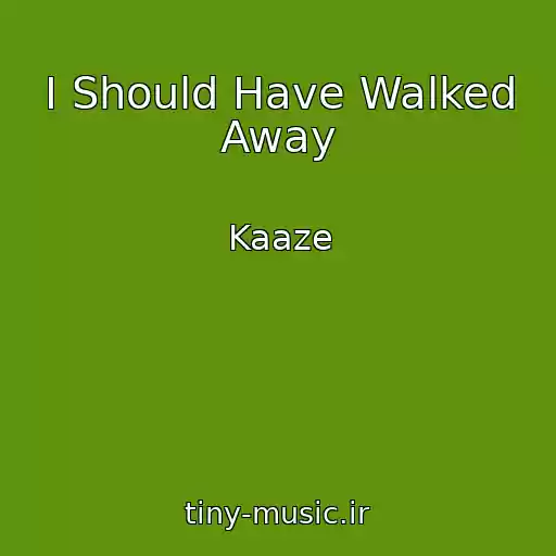 کاور آهنگ I Should Have Walked Away از Kaaze