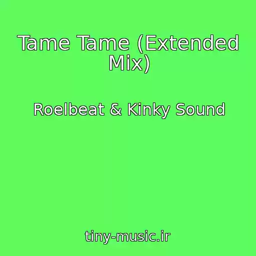 کاور آهنگ Tame Tame (Extended Mix) از Roelbeat & Kinky Sound