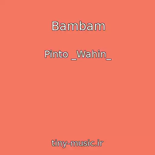 کاور آهنگ Bambam از Pinto _Wahin_